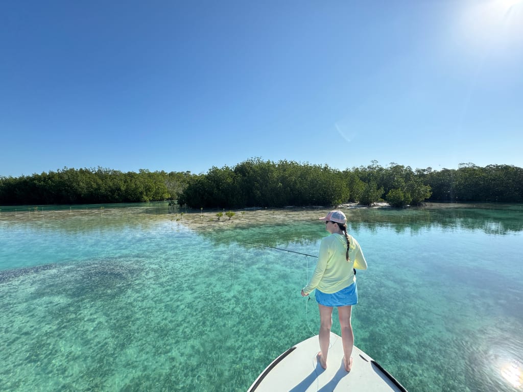 Mangrove lagoon las salinas